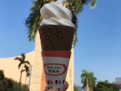 -富豪雪糕车流动点(尖沙咀店)
