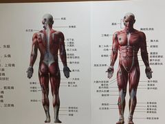 -通透堂中医·精准推拿(旗舰店)