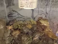 -鳖皇甲鱼餐厅(平阳路店)