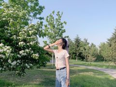 -长春公园(普阳街道)