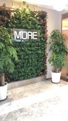 -More摩尔医美の注射线雕光电中心