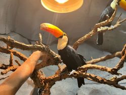 -Zoolung Zoolung动物主题公园(海信广场店)