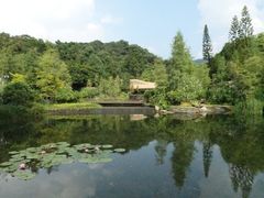 景点-云溪植物园