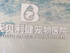 -宠颐生贝利健动物医院(谢家湾分院)