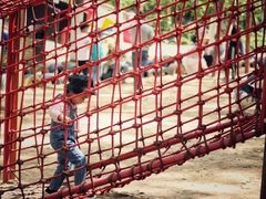 -合肥滨湖国家森林公园