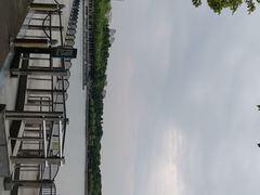 -世纪公园-1号门停车场