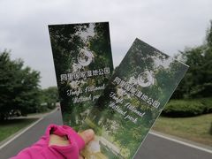 -同里国家湿地公园