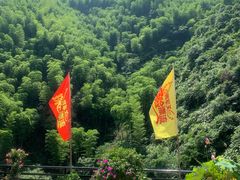 -将军关探险漂流