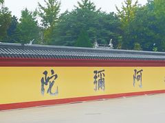 -上海东林寺(金山区)