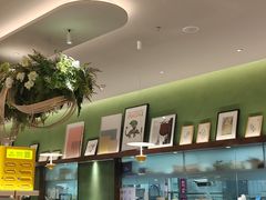 -Aqua Oasis 水天堂(太湖中心mall店)