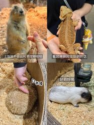 -Zoolung Zoolung动物主题公园(海信广场店)