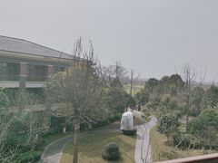 -成都安仁福朋喜来登酒店