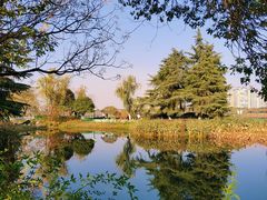 -金银湖国家城市湿地公园