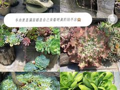 -寂照庵