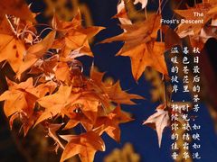 -香山公园