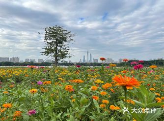 广州周末·️元遛娃·海珠湖公园