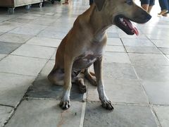 -ခြောက်ထပ်ကြီးရွှေသာလျောင်းဘုရားကြီး