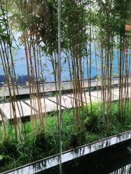 点击看大图 -爱儿美儿童摄影(朝阳公园店)