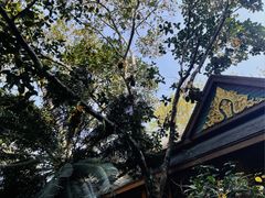 -野象谷景区