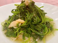 -新光酒家·河豚·海鲜·蟹料理(浦东店)
