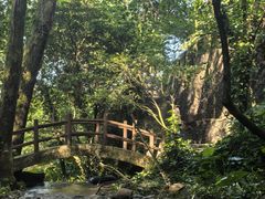 -火炉山森林公园