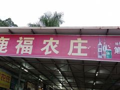 门面-鹿福农庄(南沙天后宫店)