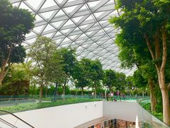 -樟宜机场免税店