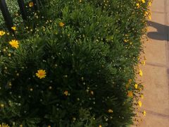 -呈贡滇池生态湿地公园