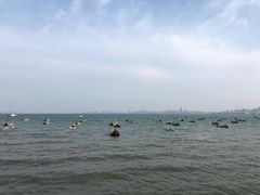 -悦港(悦港酒店)