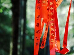 -西湖风景区十里琅珰-五云山