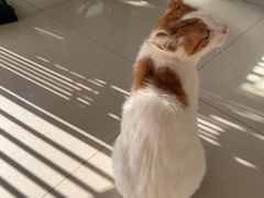 -平行世界·猫咖(首经贸店)