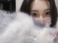 -吉丁鸟咖·异宠·寄养