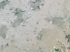 -北海金海湾红树林生态旅游区