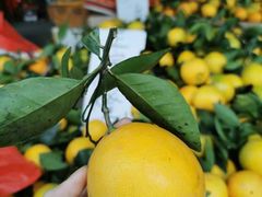 -细村农贸综合市场(沿江路店)
