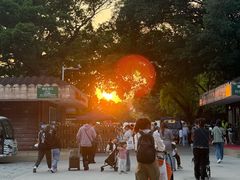 -深圳野生动物园