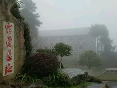 -铁山坪森林公园