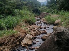 -福清灵石山国家森林公园
