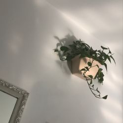 -艺时·漂发·染发·蛋白护理店