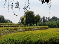 -北坞公园