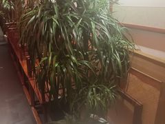 -小吊梨汤·北京菜·烤鸭(双井乐成中心店)