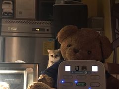 -咖法森林·咖啡  酒吧(天河店)