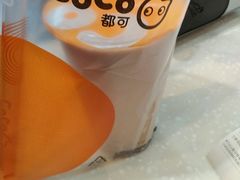 -CoCo都可(骆家庄新店)