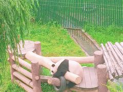 -沈阳森林动物园