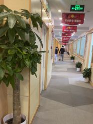 -上海华美医疗美容医院