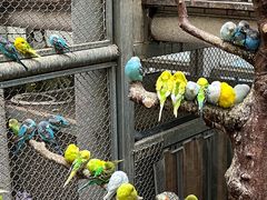 -正佳雨林生态植物园