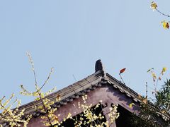 -钱王祠