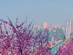 -佛图关公园