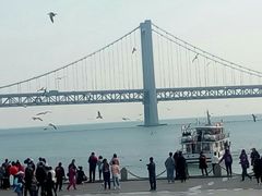 -星海湾跨海大桥