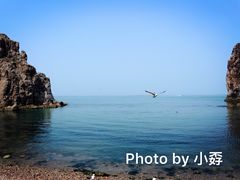 -海驴岛(荣成市)