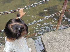 -五泄景区